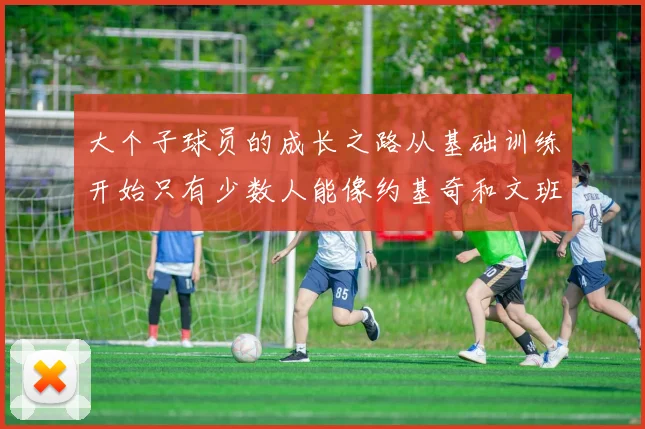 大个子球员的成长之路从基础训练开始只有少数人能像约基奇和文班那样成功